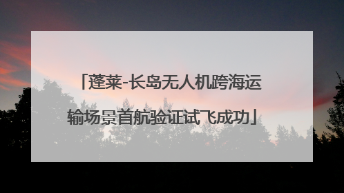 蓬莱-长岛无人机跨海运输场景首航验证试飞成功