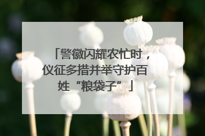 警徽闪耀农忙时，仪征多措并举守护百姓“粮袋子”