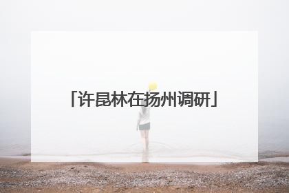 许昆林在扬州调研