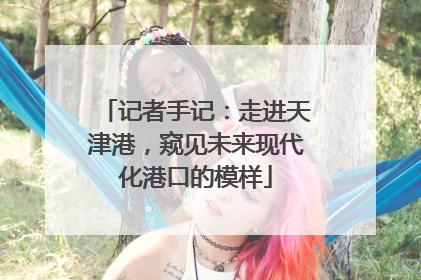记者手记：走进天津港，窥见未来现代化港口的模样