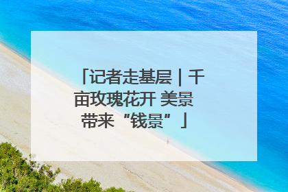 记者走基层｜千亩玫瑰花开 美景带来“钱景”