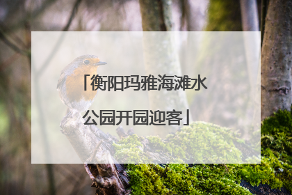 衡阳玛雅海滩水公园开园迎客