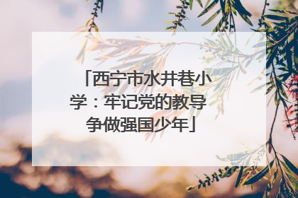 西宁市水井巷小学：牢记党的教导 争做强国少年