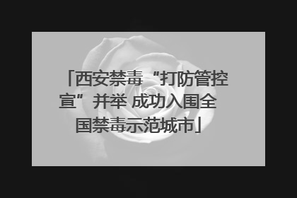 西安禁毒“打防管控宣”并举 成功入围全国禁毒示范城市