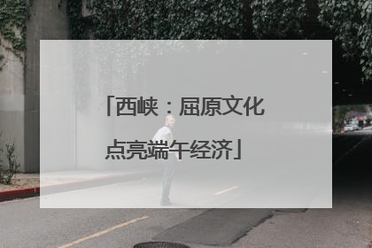 西峡：屈原文化点亮端午经济