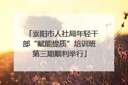 襄阳市人社局年轻干部“赋能提质”培训班第三期顺利举行