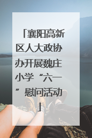 襄阳高新区人大政协办开展魏庄小学“六一”慰问活动