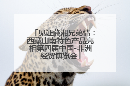 见证藏湘兄弟情：西藏山南特色产品亮相第四届中国-非洲经贸博览会
