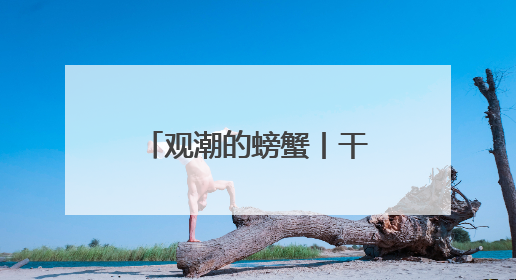 观潮的螃蟹丨干部回故土调研为何“含真量”更高