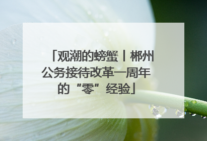 观潮的螃蟹丨郴州公务接待改革一周年的“零”经验
