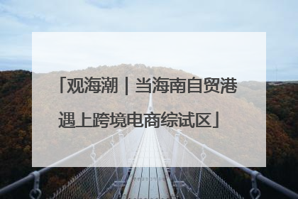 观海潮｜当海南自贸港遇上跨境电商综试区