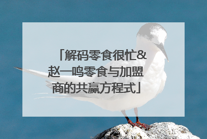 解码零食很忙&赵一鸣零食与加盟商的共赢方程式