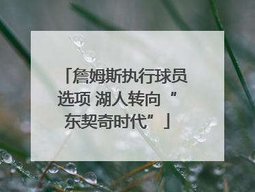 詹姆斯执行球员选项 湖人转向“东契奇时代”