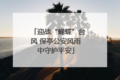 迎战“蝴蝶”台风 保亭公安风雨中守护平安