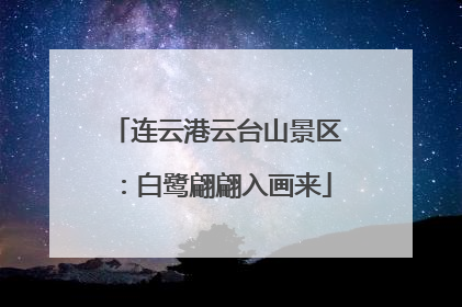 连云港云台山景区：白鹭翩翩入画来