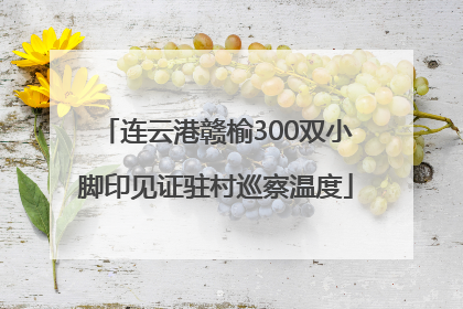 连云港赣榆300双小脚印见证驻村巡察温度