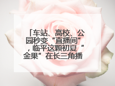 车站、高校、公园秒变“直播间”，临平这颗初夏“金果”在长三角播撒甜美