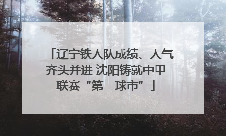 辽宁铁人队成绩、人气齐头并进 沈阳铸就中甲联赛“第一球市”