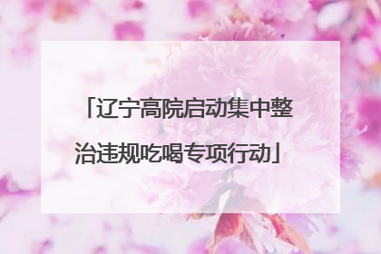辽宁高院启动集中整治违规吃喝专项行动