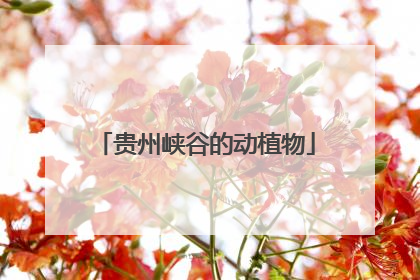 贵州峡谷的动植物