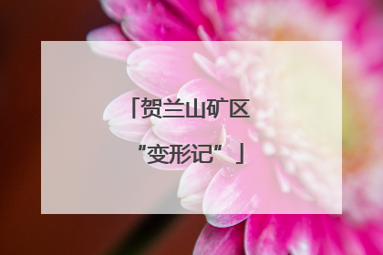 贺兰山矿区“变形记”