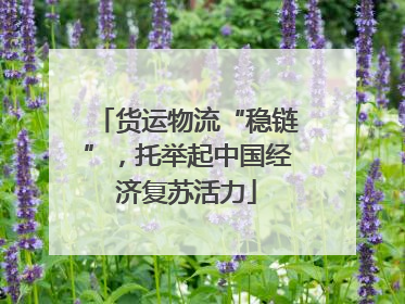 货运物流“稳链”，托举起中国经济复苏活力