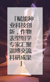 赋能种业科技创新，作物表型组学专家汇聚淄博交流科研成果