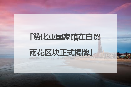 赞比亚国家馆在自贸雨花区块正式揭牌