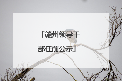 赣州领导干部任前公示