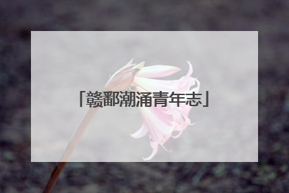 赣鄱潮涌青年志