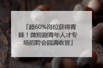 超60%岗位获得青睐！微短剧青年人才专场招聘会圆满收官
