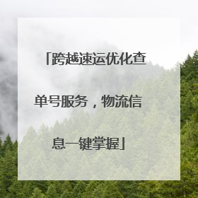 跨越速运优化查单号服务，物流信息一键掌握