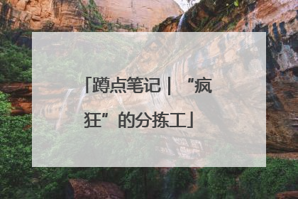 蹲点笔记｜“疯狂”的分拣工