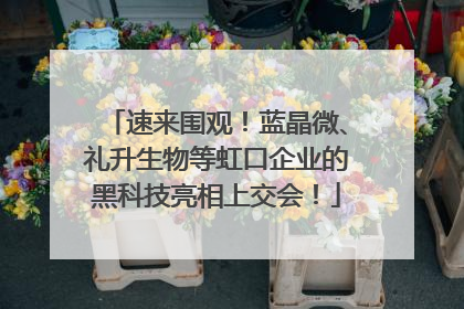 速来围观！蓝晶微、礼升生物等虹口企业的黑科技亮相上交会！