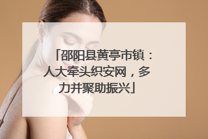 邵阳县黄亭市镇：人大牵头织安网，多力并聚助振兴