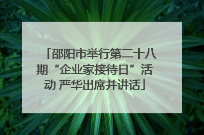 邵阳市举行第二十八期“企业家接待日”活动 严华出席并讲话