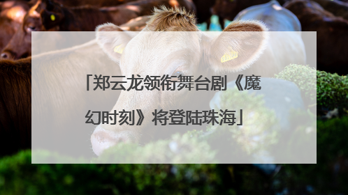 郑云龙领衔舞台剧《魔幻时刻》将登陆珠海