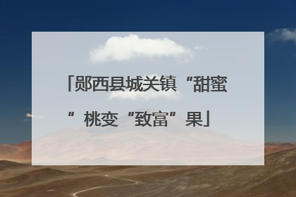 郧西县城关镇“甜蜜”桃变“致富”果