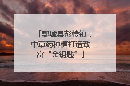 鄄城县彭楼镇：中草药种植打造致富“金钥匙”
