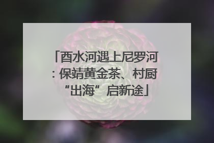 酉水河遇上尼罗河：保靖黄金茶、村厨“出海”启新途