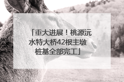 重大进展！桃源沅水特大桥42根主墩桩基全部完工