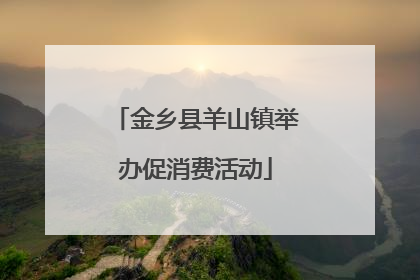 金乡县羊山镇举办促消费活动