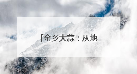 金乡大蒜：从地头到全球“链出”全产业之路