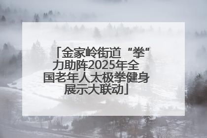 金家岭街道“拳”力助阵2025年全国老年人太极拳健身展示大联动