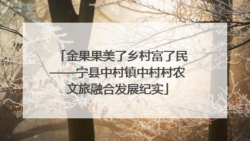 金果果美了乡村富了民——宁县中村镇中村村农文旅融合发展纪实