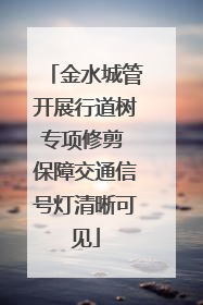 金水城管开展行道树专项修剪 保障交通信号灯清晰可见