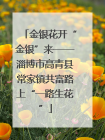 金银花开“金银”来——淄博市高青县常家镇共富路上“一路生花”