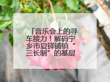 音乐会上的寻车接力！解码宁乡市夏铎铺镇“三长制”的基层治理新实践