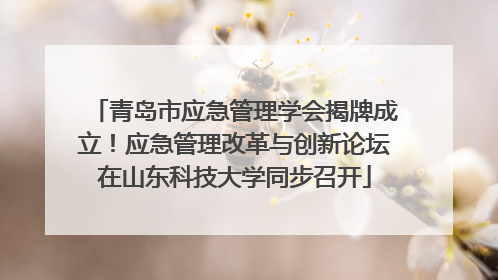 青岛市应急管理学会揭牌成立！应急管理改革与创新论坛在山东科技大学同步召开
