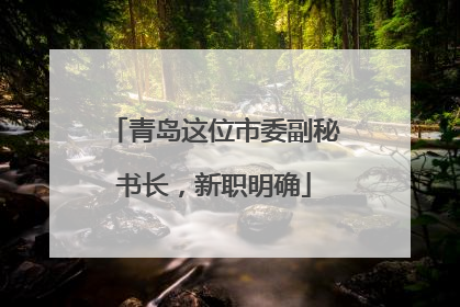 青岛这位市委副秘书长，新职明确